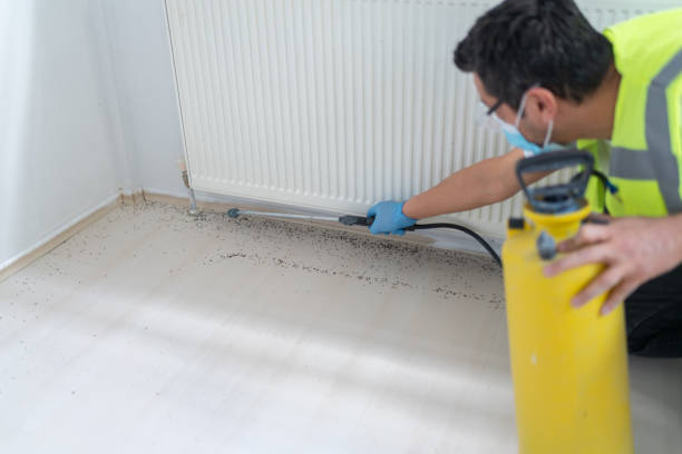 Best Ant Control Services  in Rockfish, NC